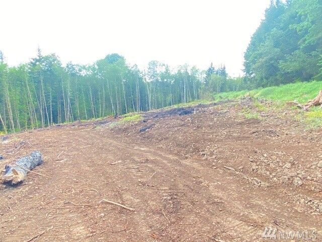 Property Photo: Lot 2 Ramsaur Rd WA 98531