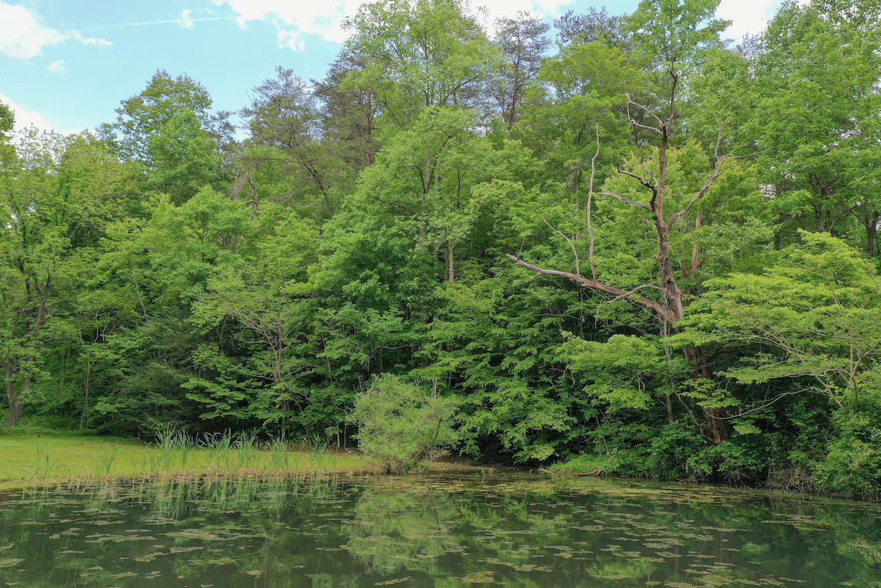 Property Photo:  Lot 14 Lakeshore Way  TN 37876 