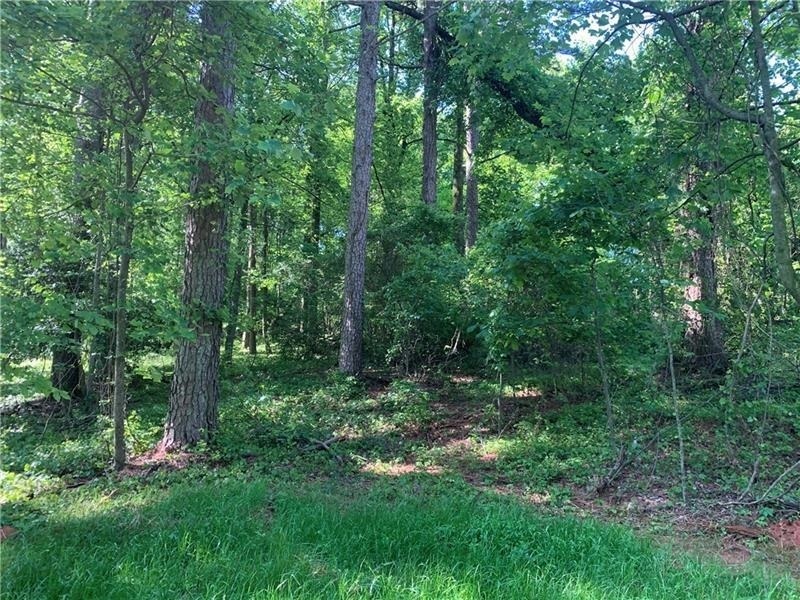 0 Keith Evans Road Lot 2  Dawsonville GA 30534 photo