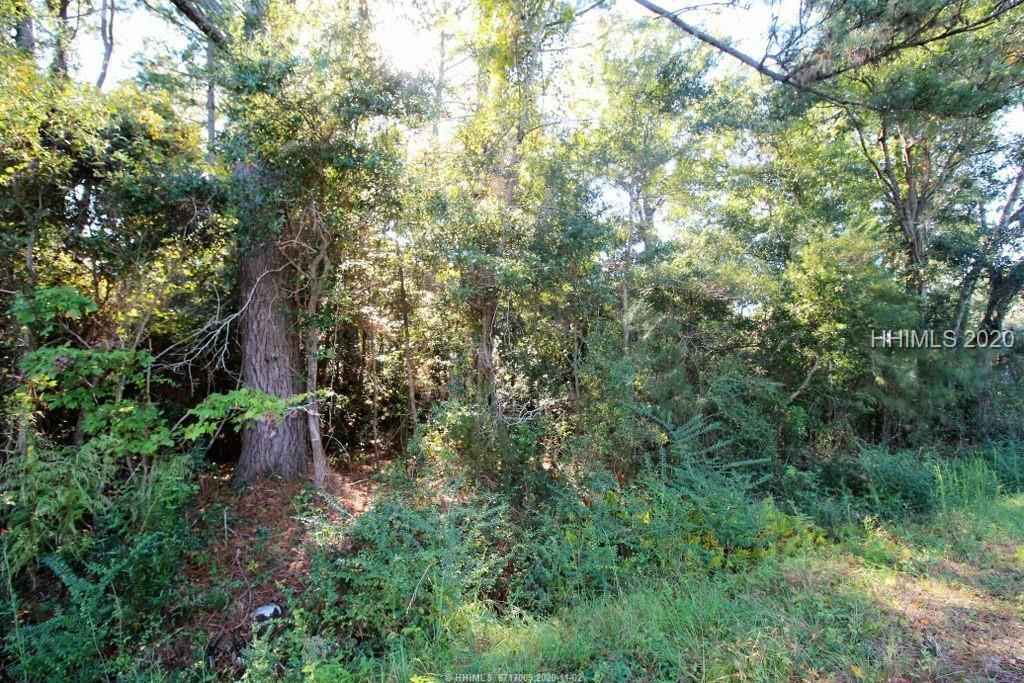 Property Photo:  205 Sam Doyle Drive  SC 29920 