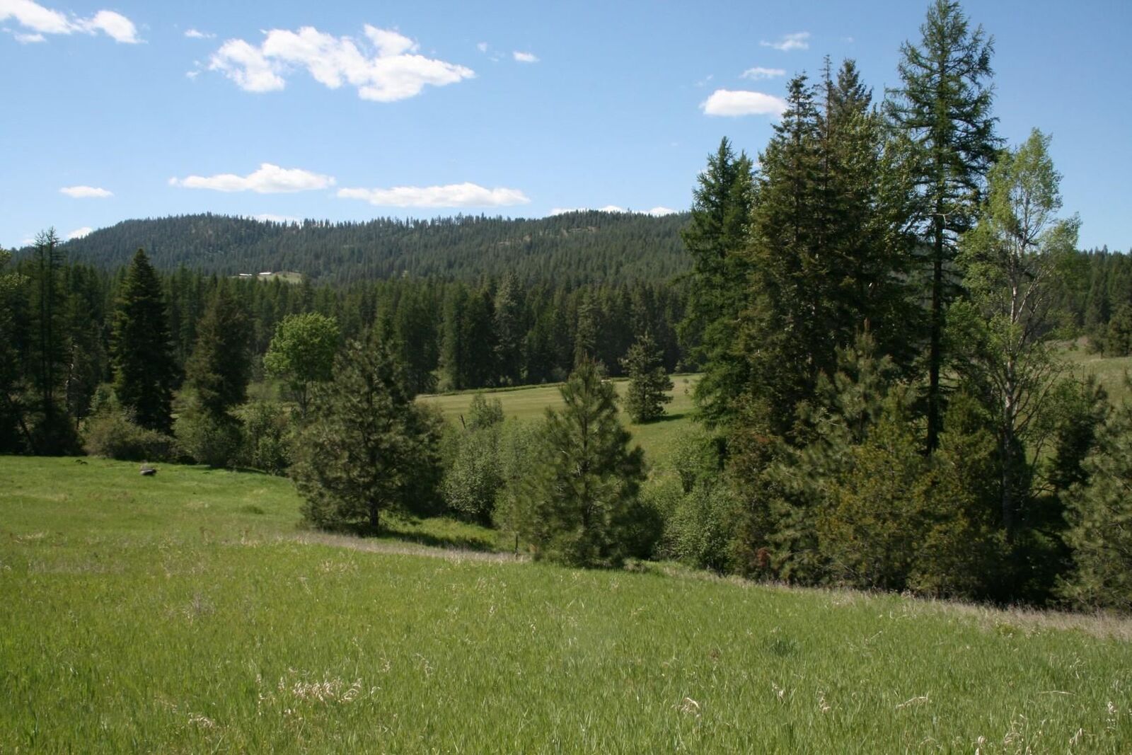 Property Photo: Xx Whittier Rd WA 99110