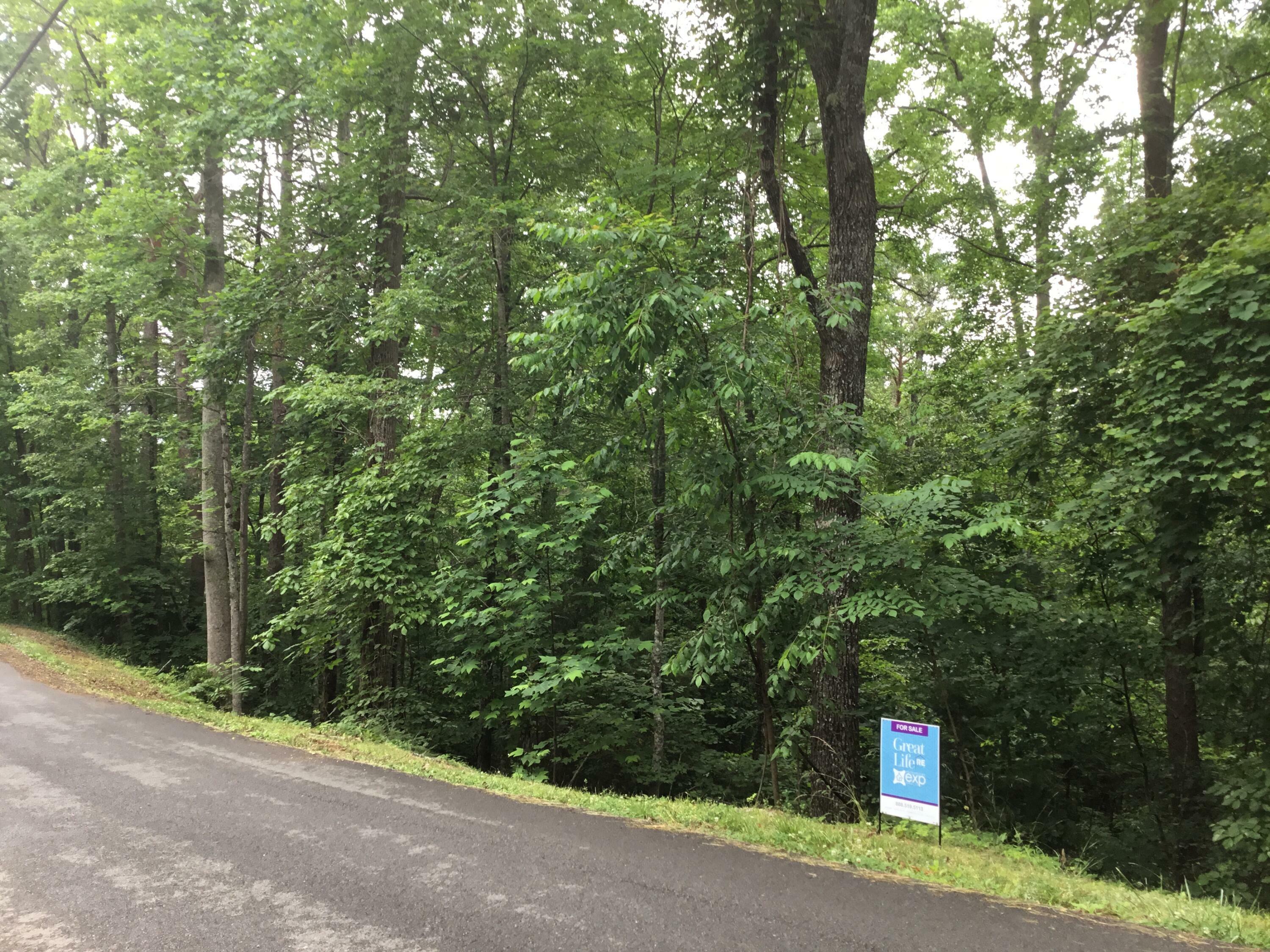 Property Photo:  Hidden Mtn Rd  TN 37876 