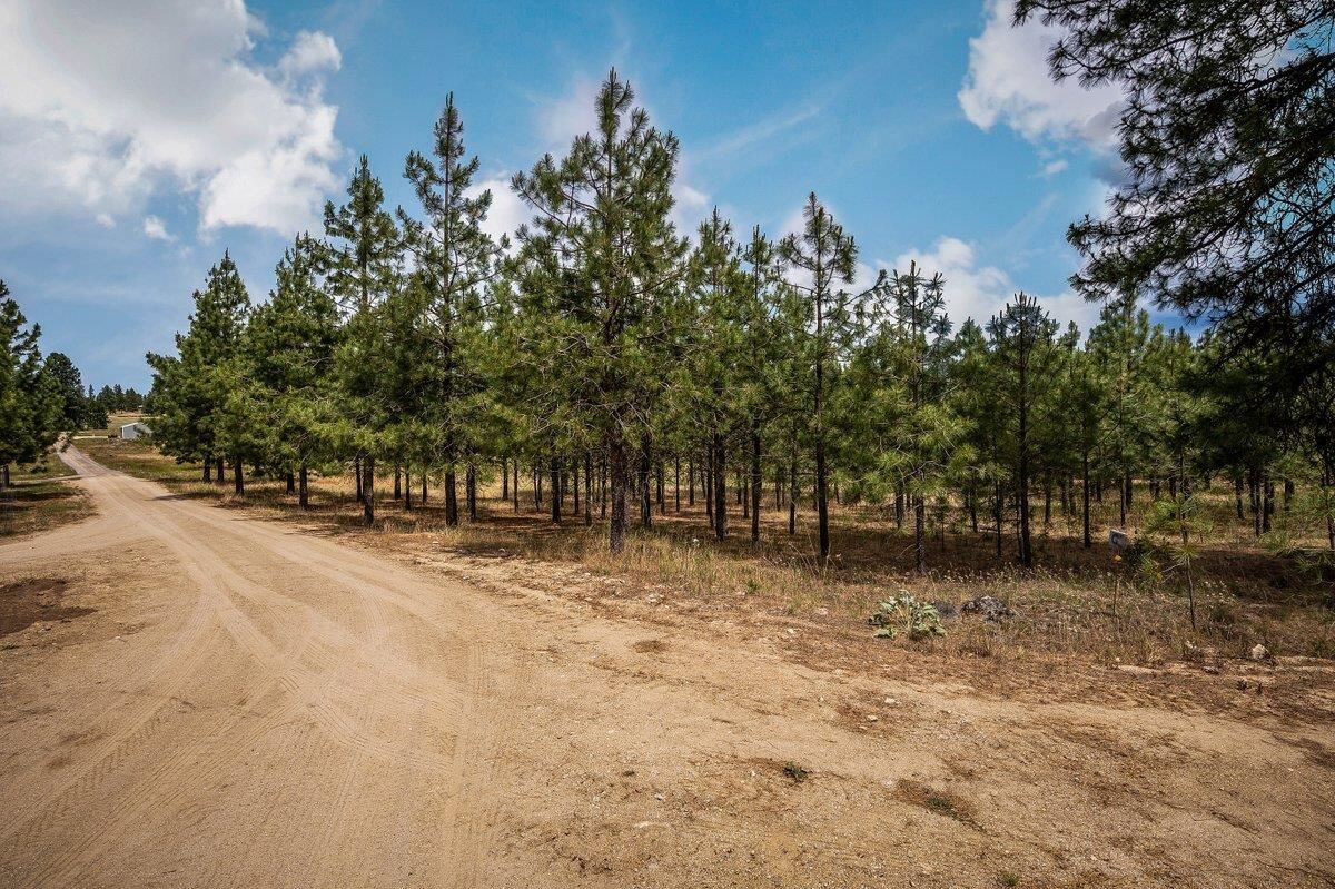 Property Photo: 21413C N Felspar Rd WA 99006-5395