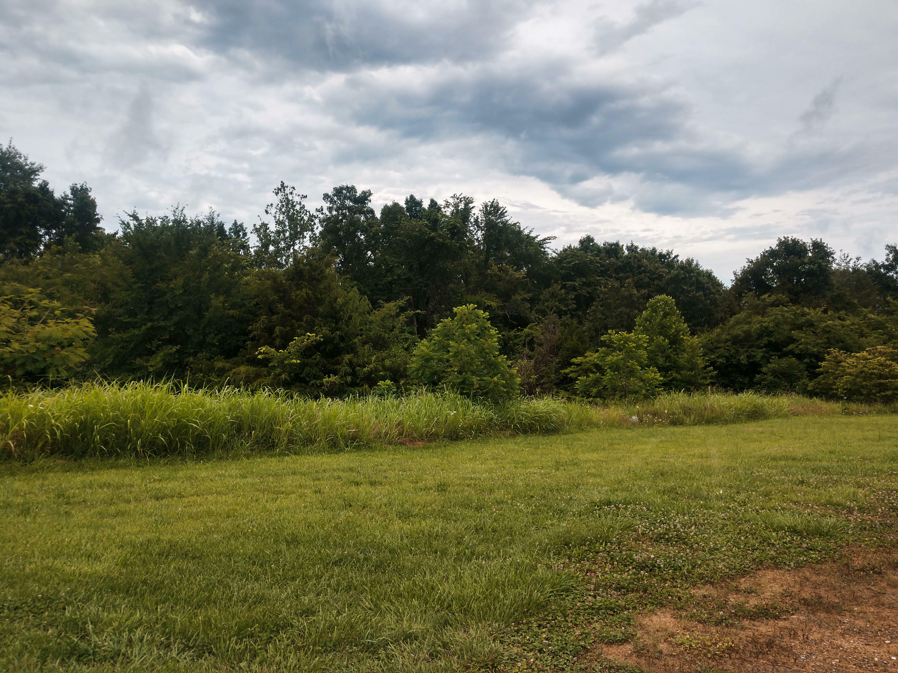 Property Photo: 11 County Road 621 MO 65676