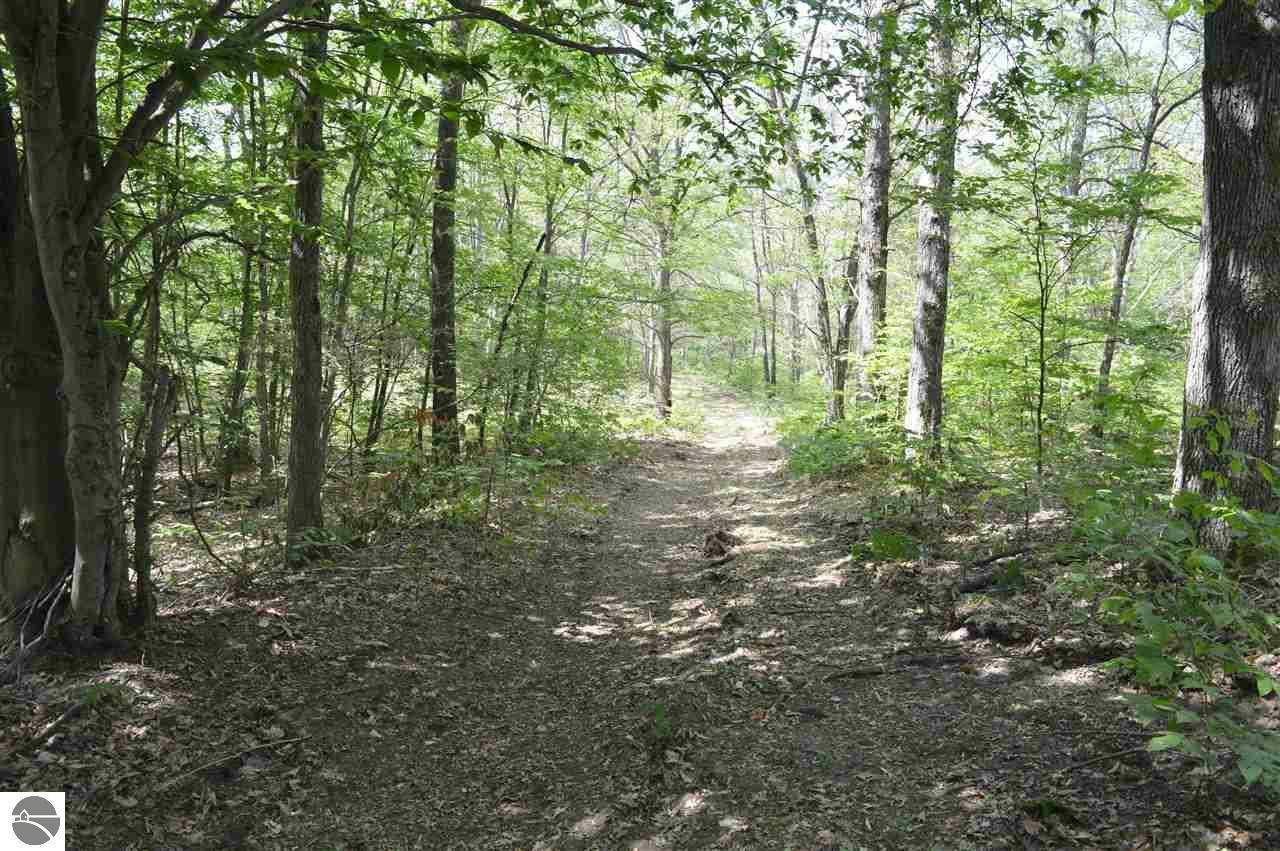 0 N Cypress Avenue  Reed City MI 49677 photo