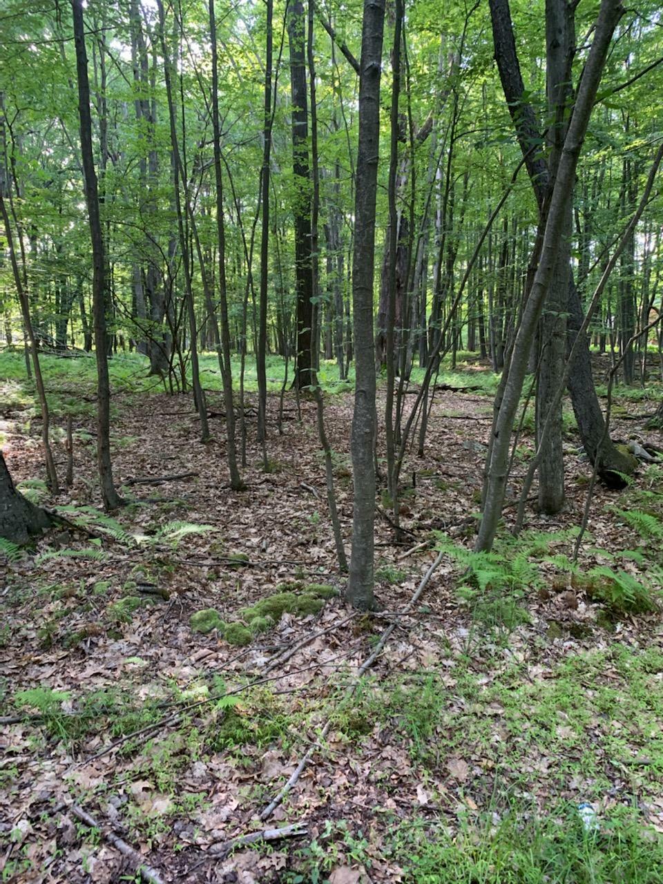 Property Photo:  14 San Andres Rd  PA 15801 