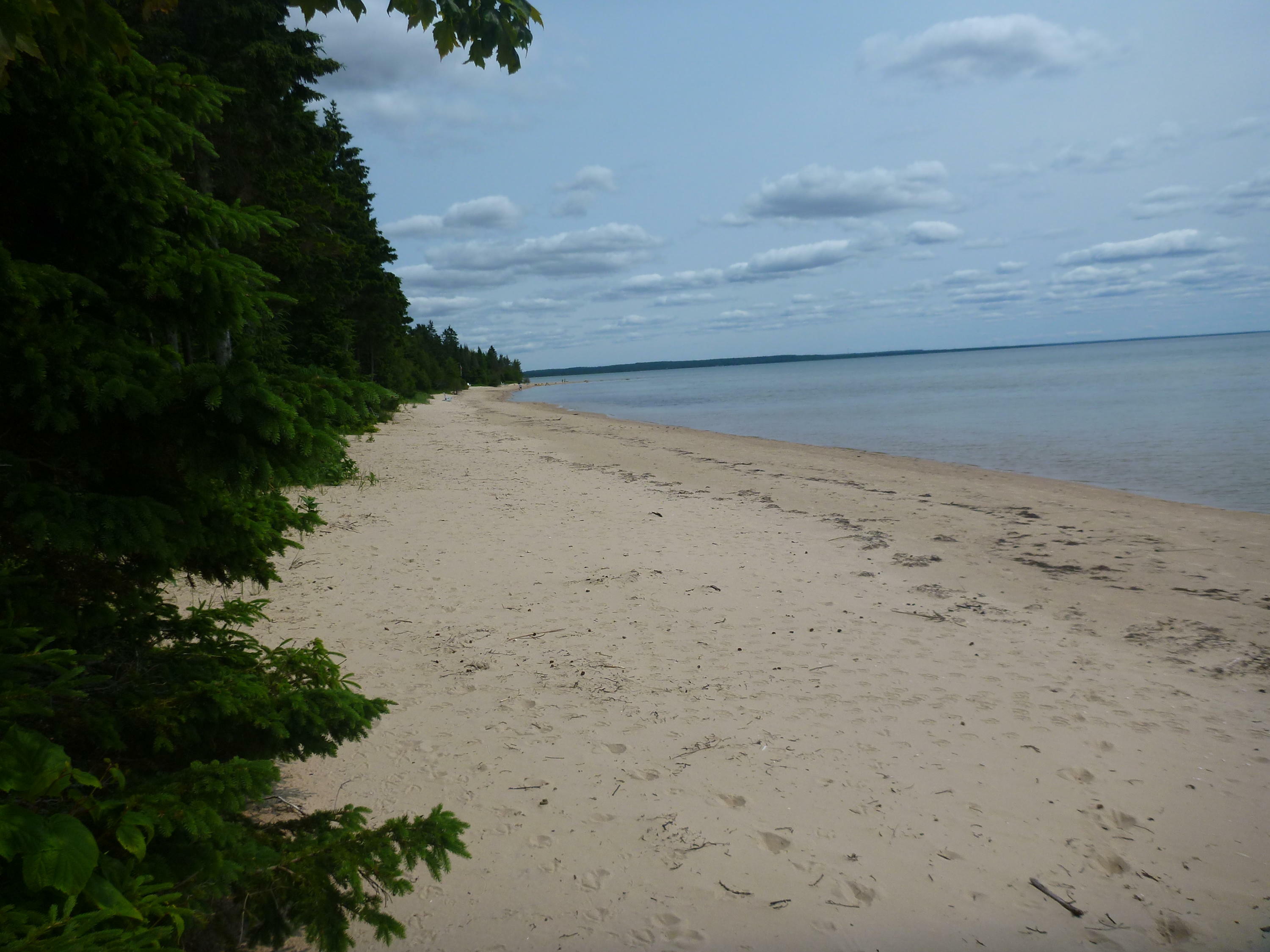 Property Photo:  Lot 24 Carnegie Trail  MI 49762 