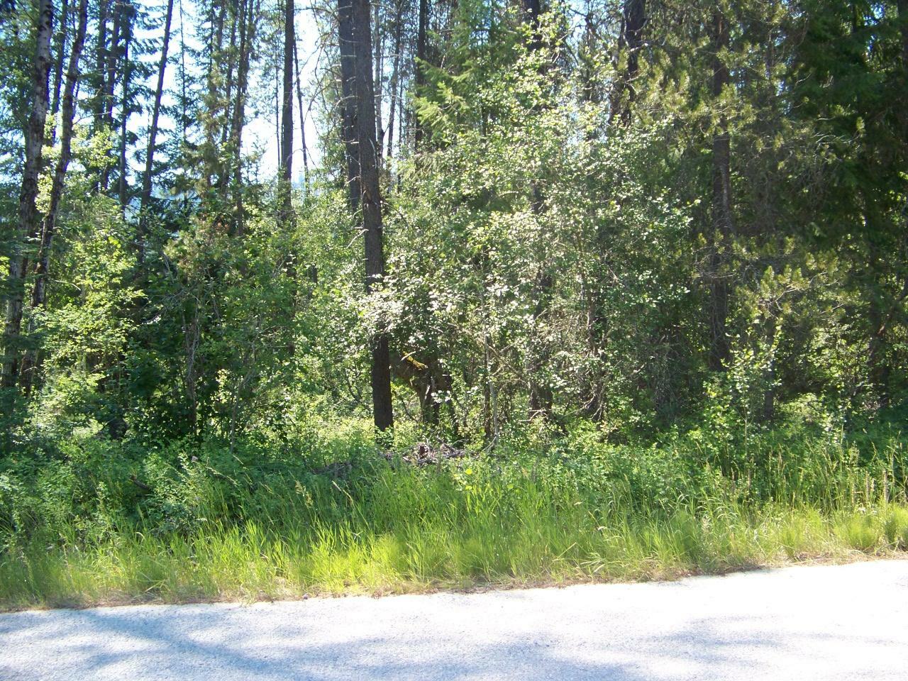 Lot 43A Farber Ln  Cusick WA 99119 photo