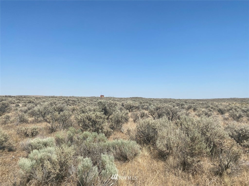 Property Photo:  564 Antelope Drive  WA 98823 