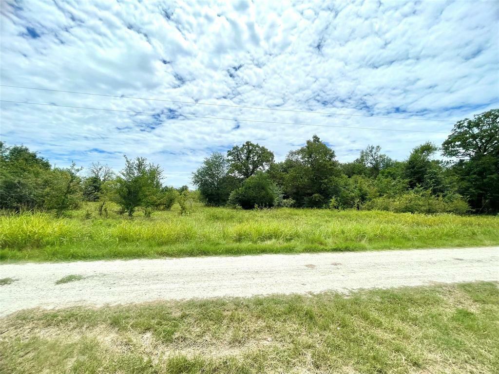 Property Photo: 26753 Bedias Drive TX 77831