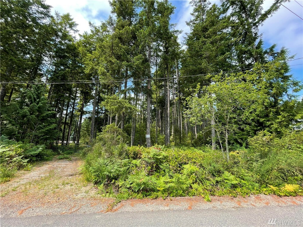 Property Photo:  0 Wye Lake Blvd SW  WA 98367 