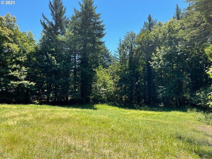 Cascade Woods Lot 2  Stevenson WA 98648 photo