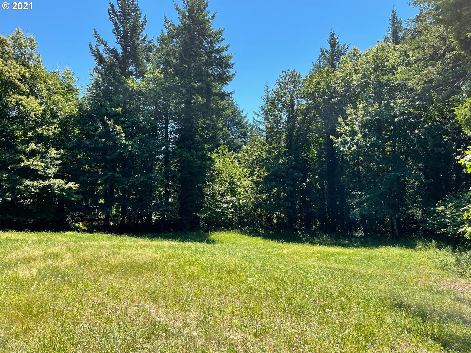 Property Photo: Cascade Woods Lot 2 WA 98648