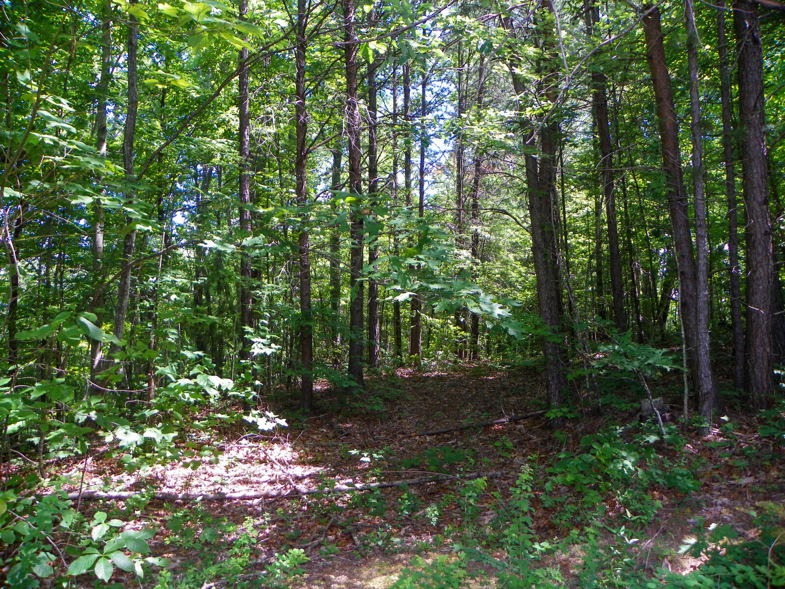 Property Photo:  View Seeker Way Way  TN 37876 