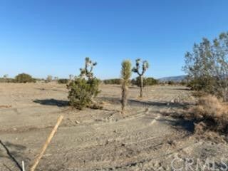 Property Photo:  11077 Beekley Rd Road  CA 92371 