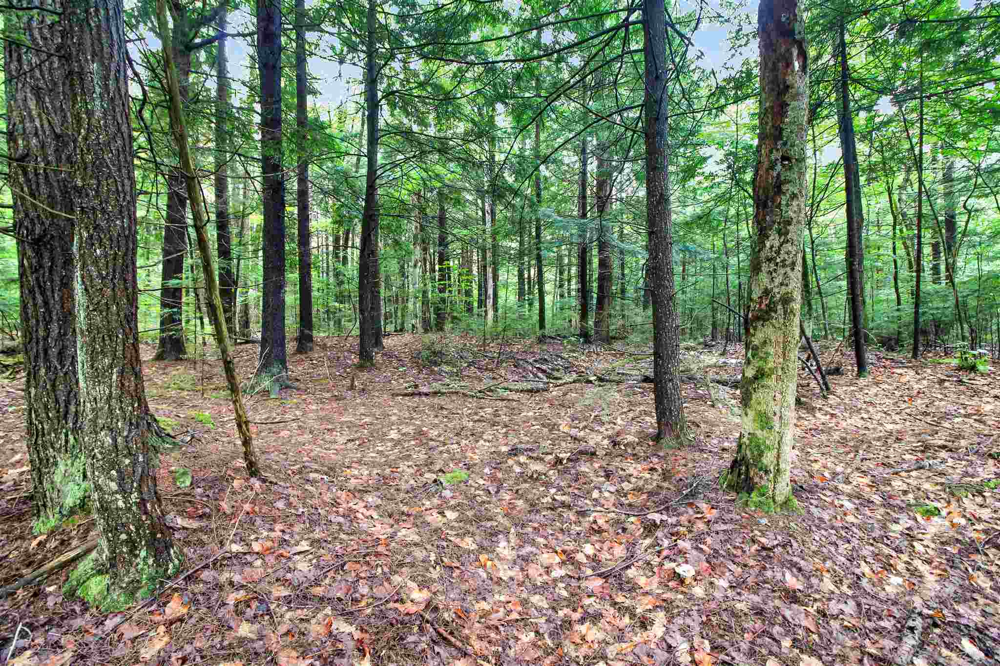 Property Photo:  00 Puckerbrush Road 5  NH 03223 