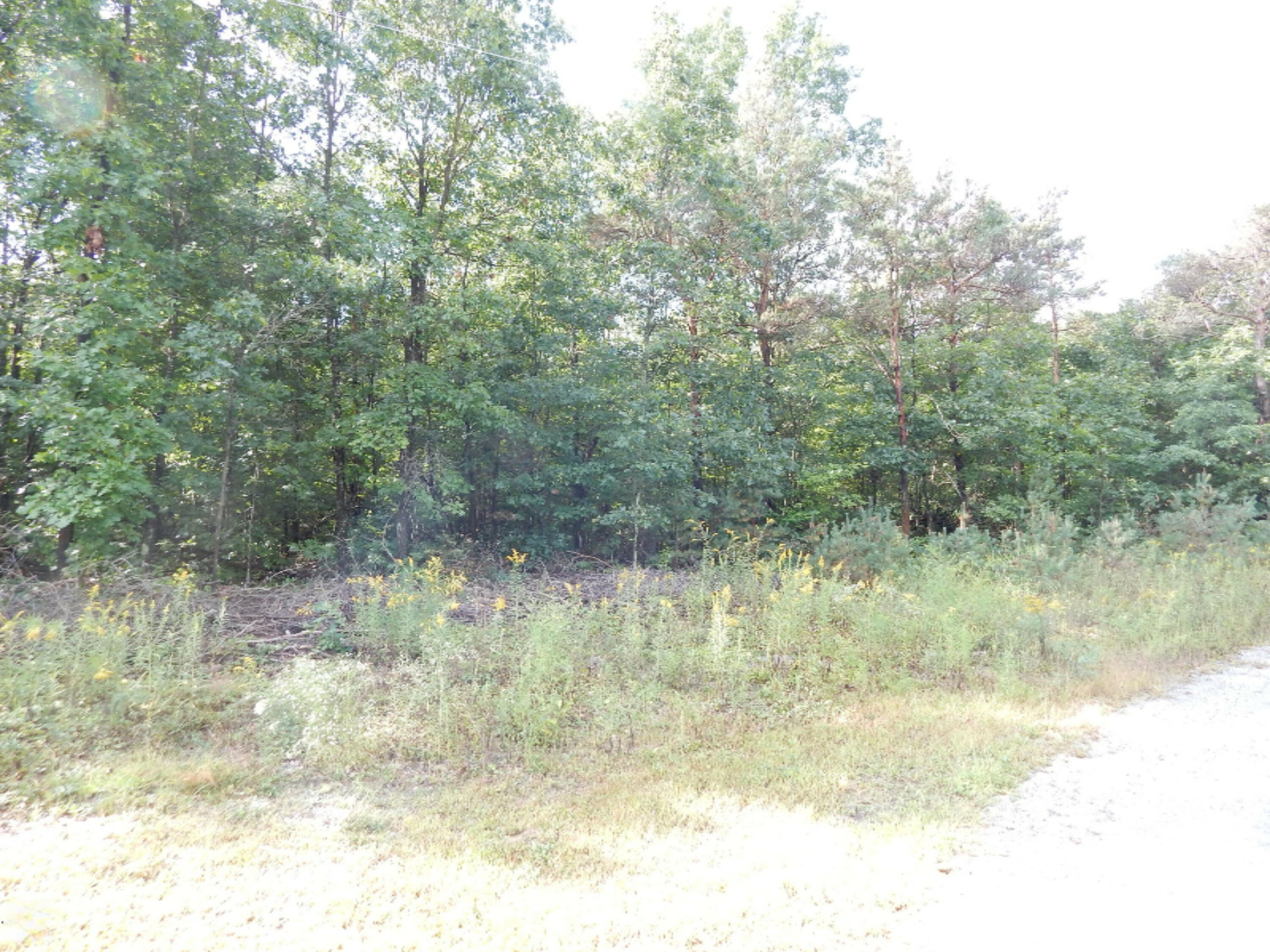 Property Photo:  Lot K Ruthie Lane  MI 49415 