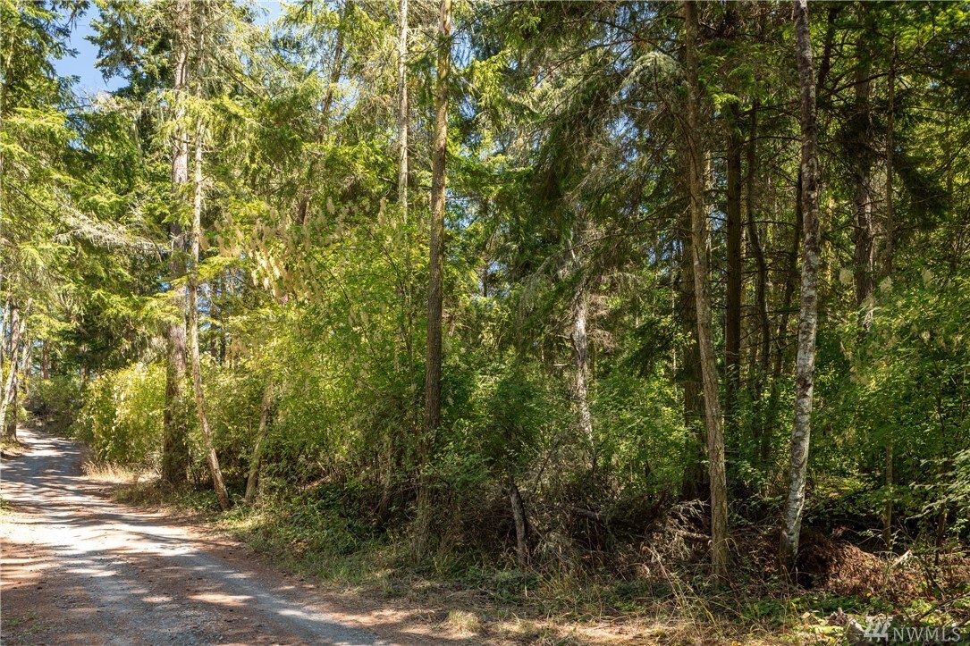 Property Photo:  101 Gillnetter Lane  WA 98261 