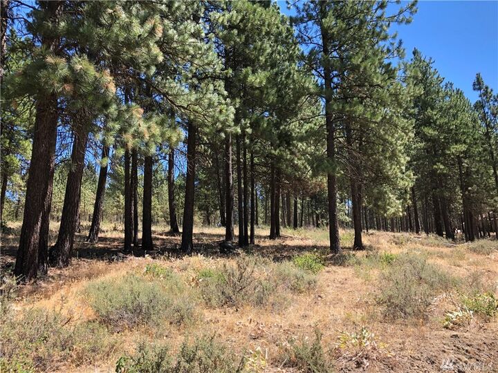 Property Photo: Lot C Masterson Rd WA 98922