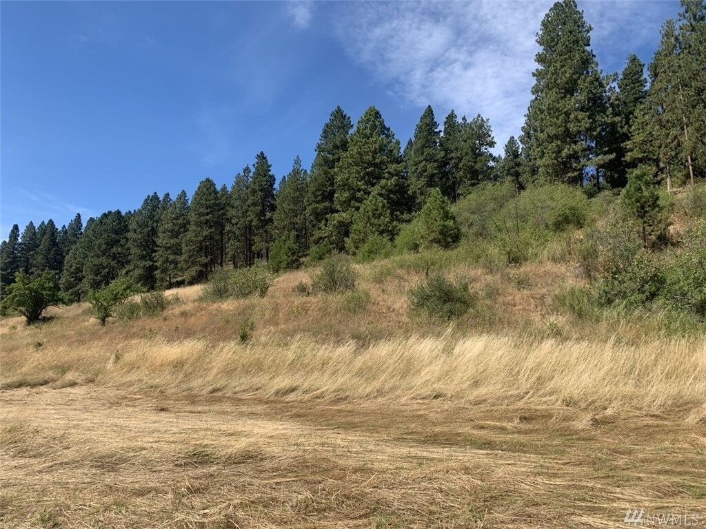 Property Photo: 0 Lot 4-A Ranch Rd WA 98922