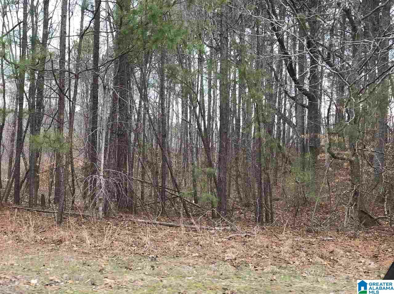 Property Photo:  0 Clairmont Springs Road 54 Acres  AL 36266 