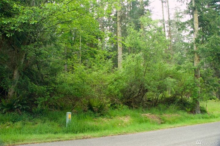 Xxx Basswood Rd  Freeland WA 98249 photo