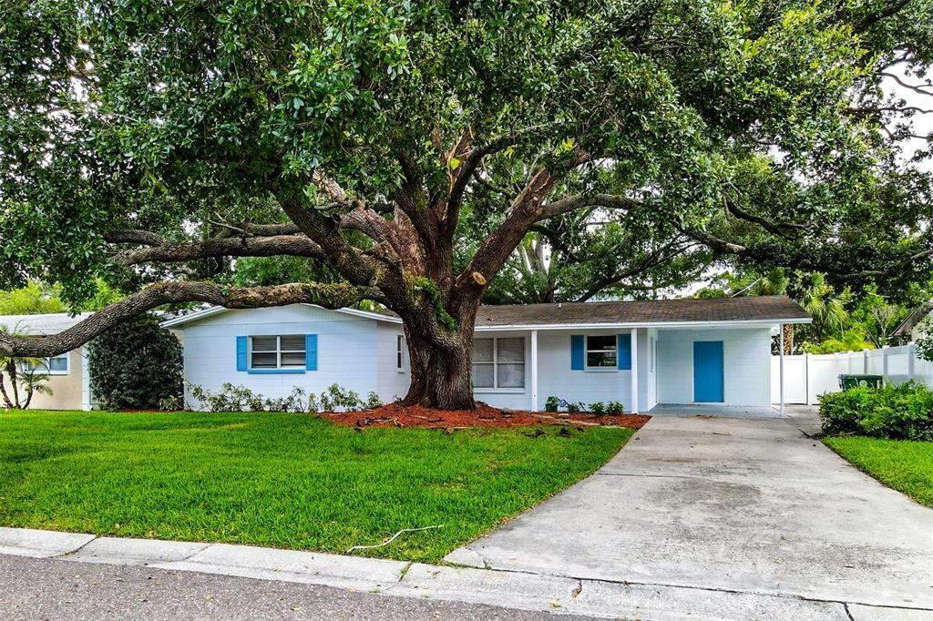 Property Photo:  4503 S Renellie Drive  FL 33611 