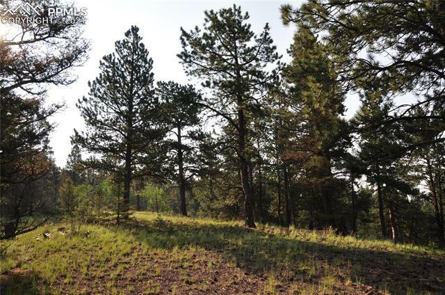 Property Photo:  662 W Bison Creek Trail  CO 80816 