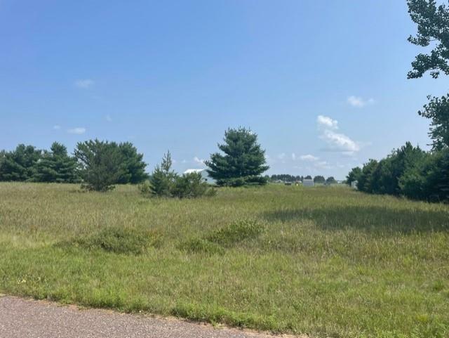 Property Photo: Lot 3 194th Street WI 54729