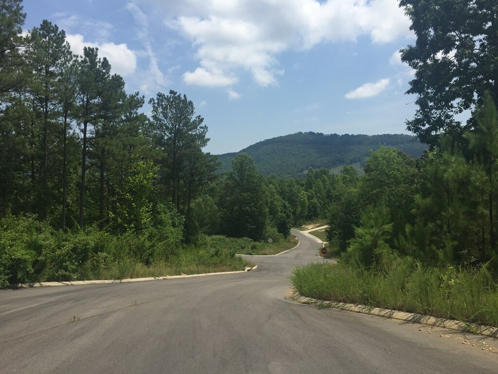 Property Photo:  Lot 21 Plum Street  GA 30740 