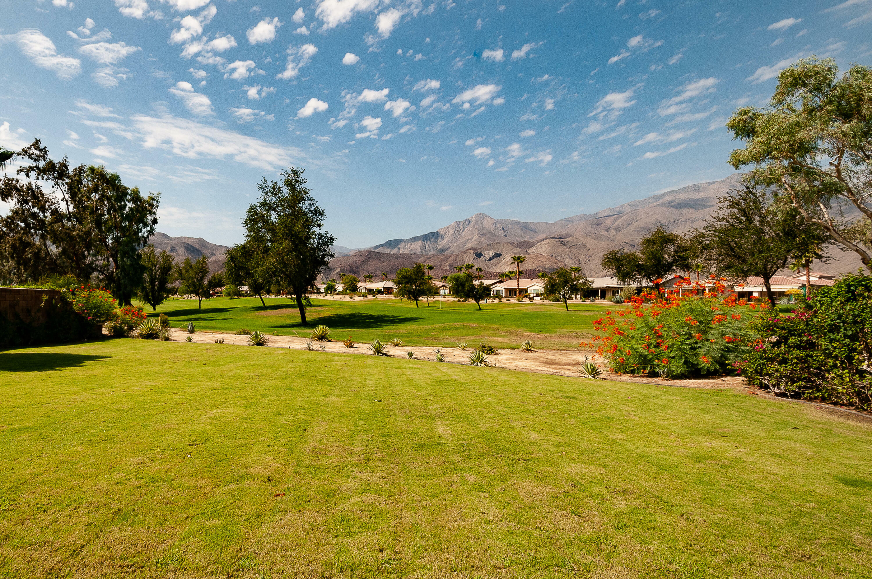 Property Photo:  81357 Ulrich Drive  CA 92253 