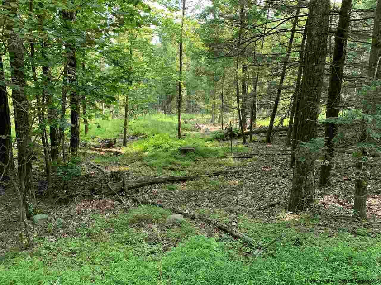 Property Photo:  Lot 3 Tbd Cherry  NY 12484 