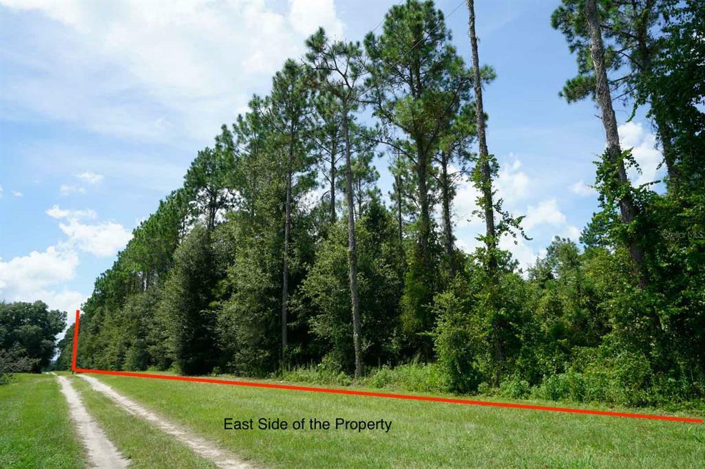 Property Photo:  Lake Seneca Road  FL 32736 