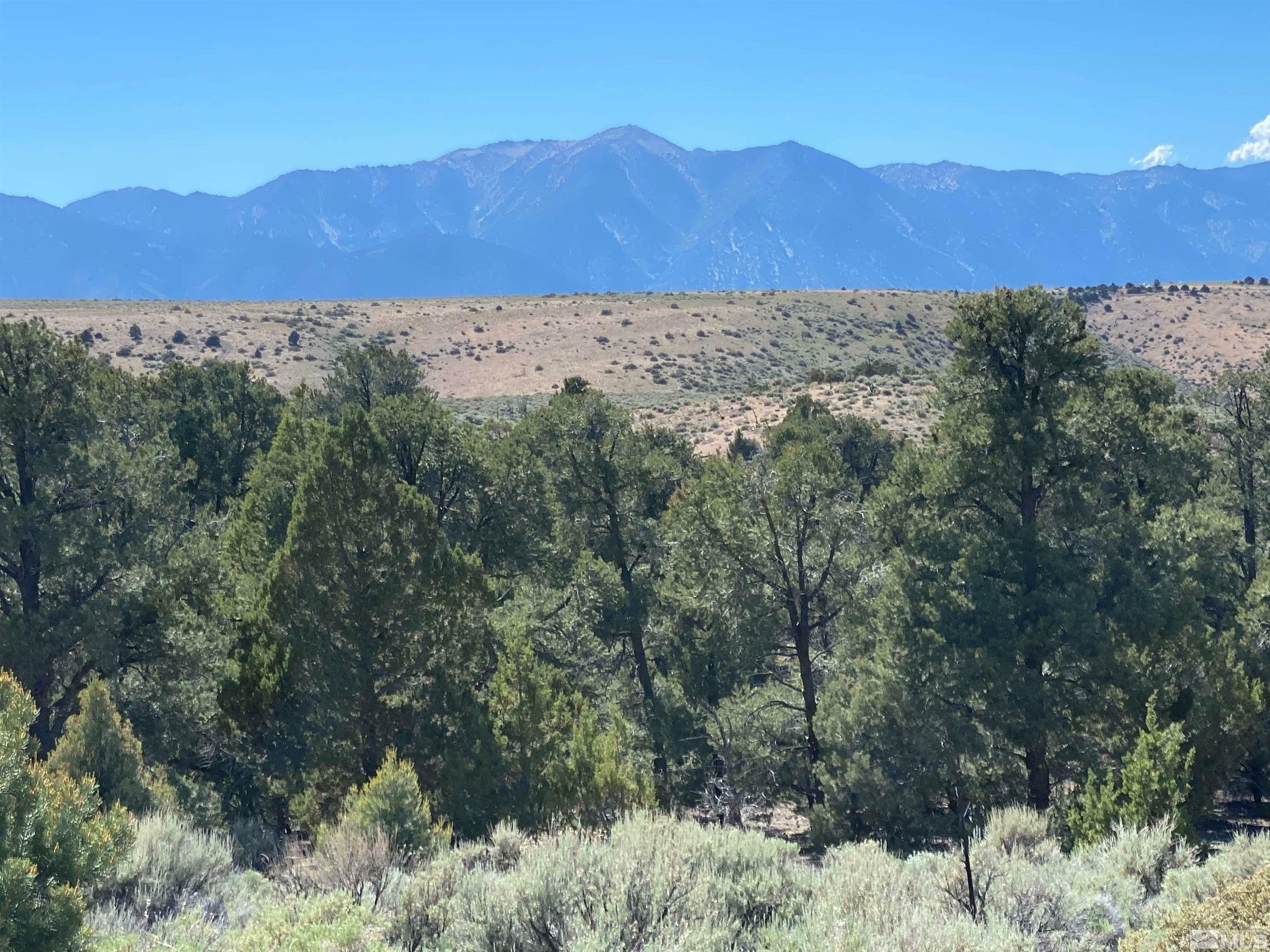 Property Photo:  Tbd China Springs (East Lot)  NV 89410 