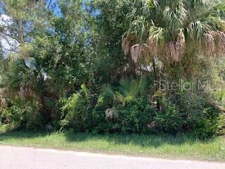 Property Photo:  Bellefonte Avenue  FL 34286 