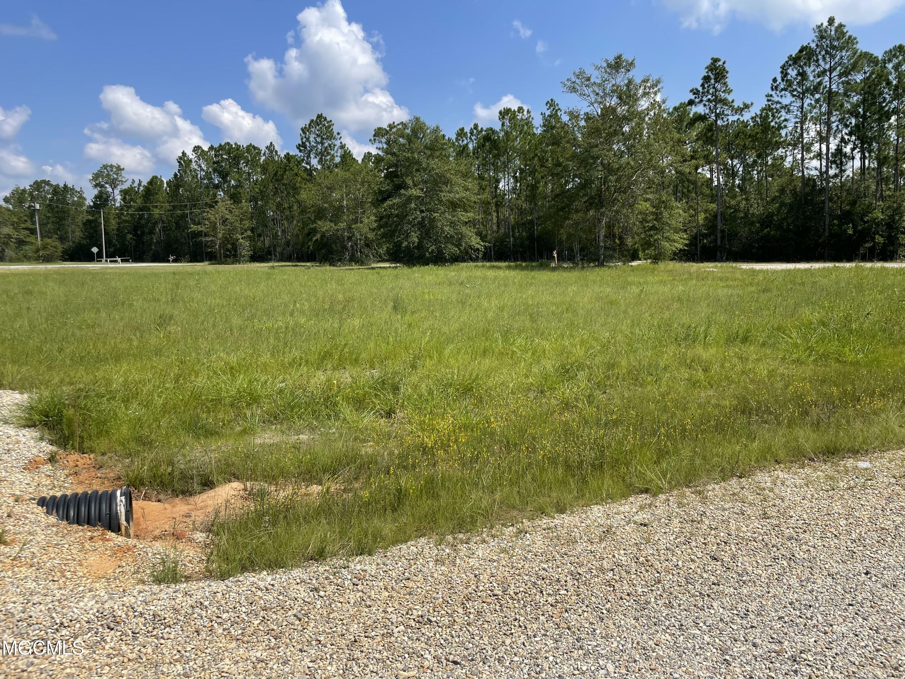 Property Photo: 19185 Sues Road MS 39556