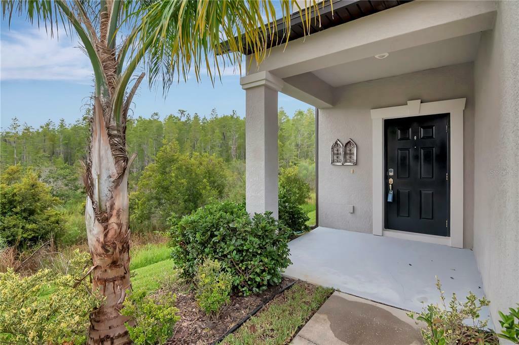 Property Photo:  18972 Hampstead Heath Court  FL 34638 