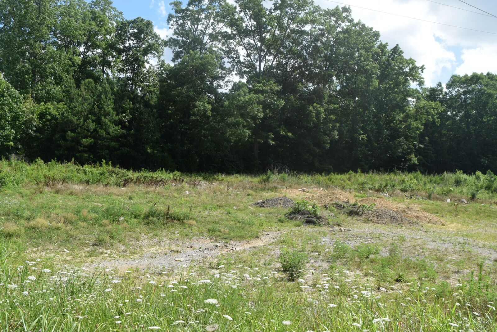 Property Photo:  1540 Woodbury Hwy  TN 37355 