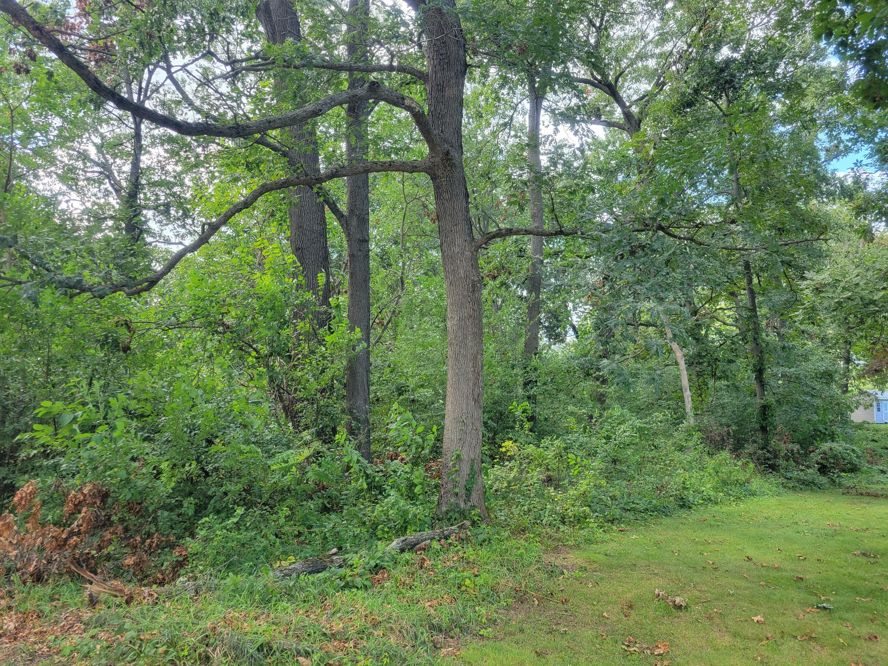 Property Photo:  Bayshore Drive  MI 49091 