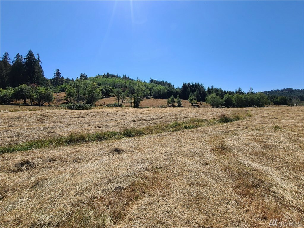 Property Photo:  0 Salzer Valley Rd  WA 98531 