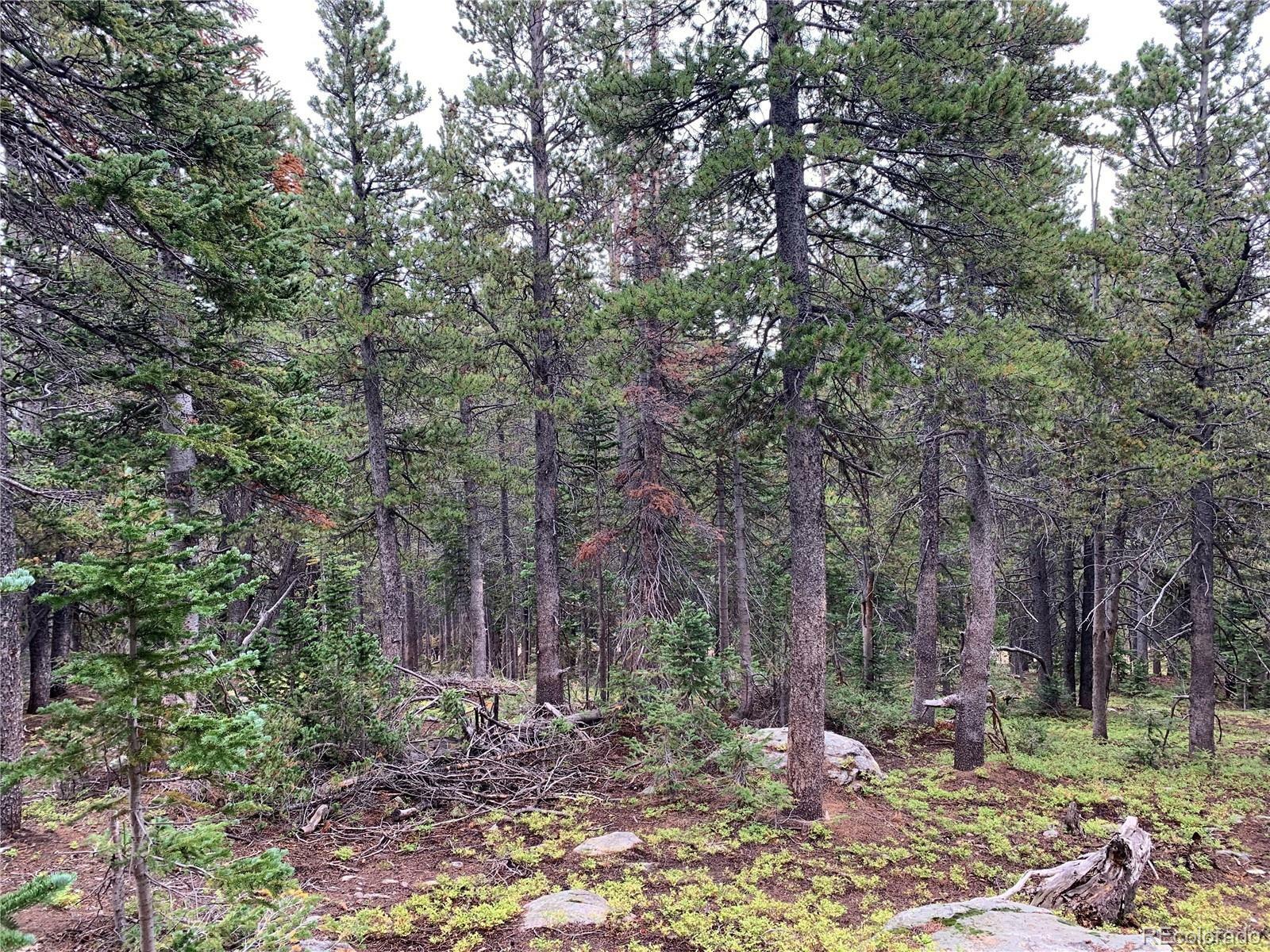 Property Photo:  Eva Road  CO 80452 