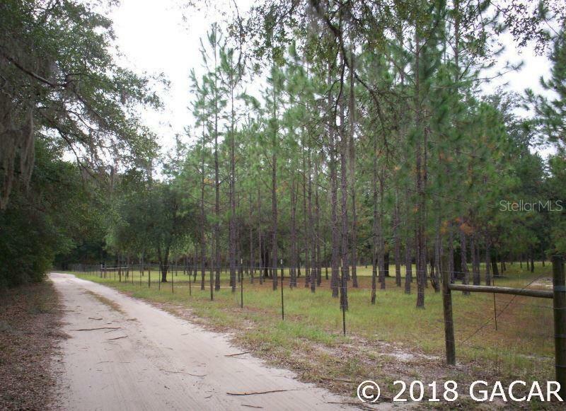 14112 NE 138th Place  Waldo FL 32694 photo