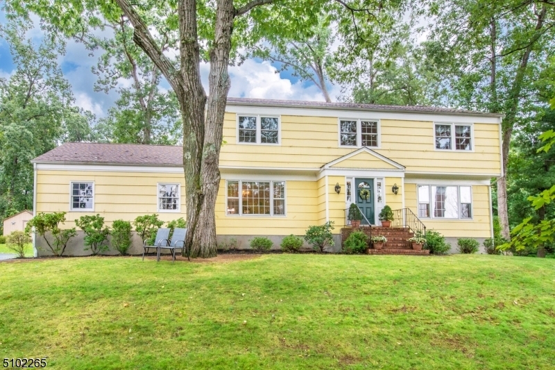 Property Photo:  236 Lyons Rd  NJ 07920 