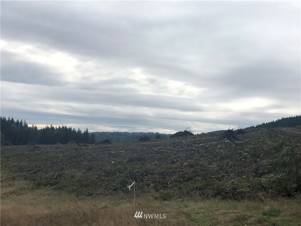 Property Photo: 0 Mull Road WA 98611