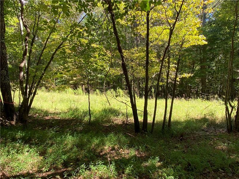 Property Photo:  Lot 4 Mineral Springs Road  GA 30107 