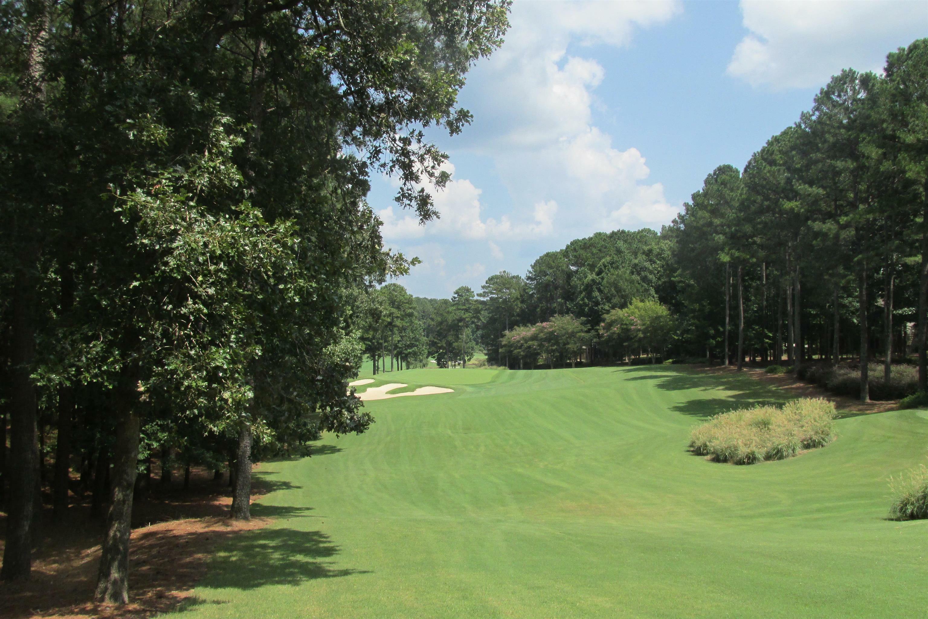 Property Photo: 1191 Bachelors Run GA 30642