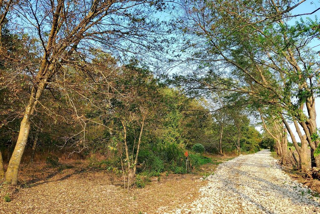 Property Photo:  7895 Fm 2101  TX 75474 