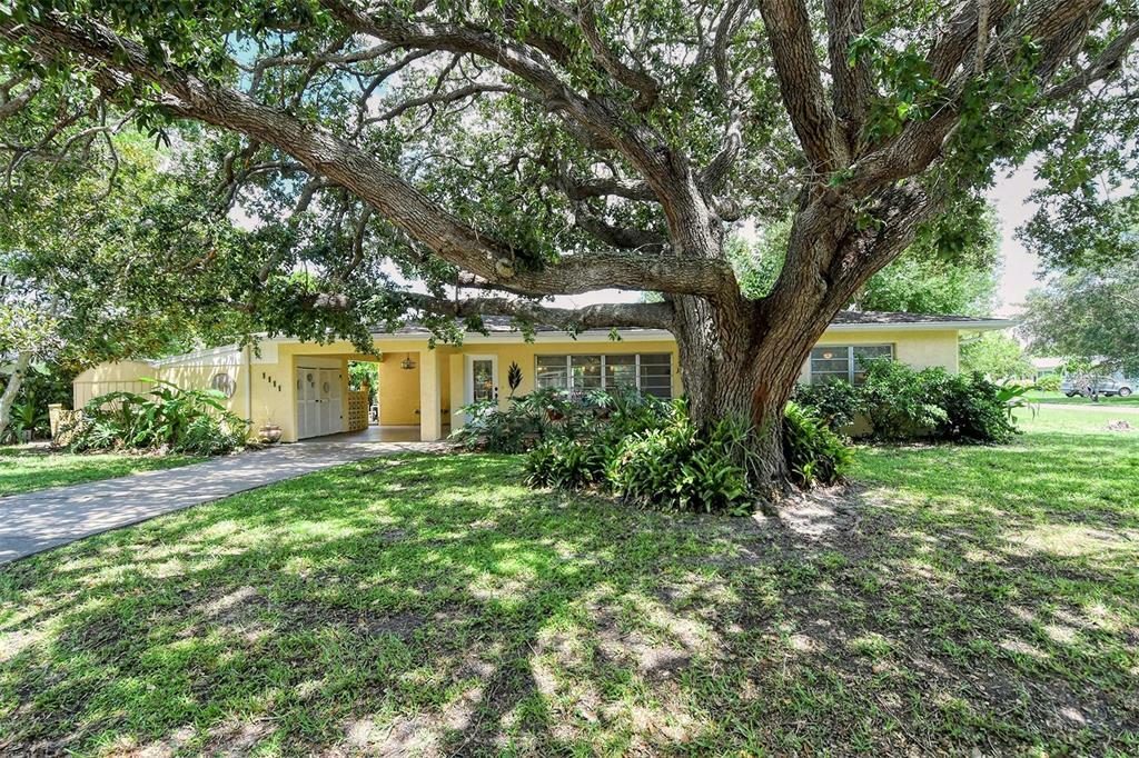 Property Photo:  1111 Nokomis Avenue S  FL 34285 