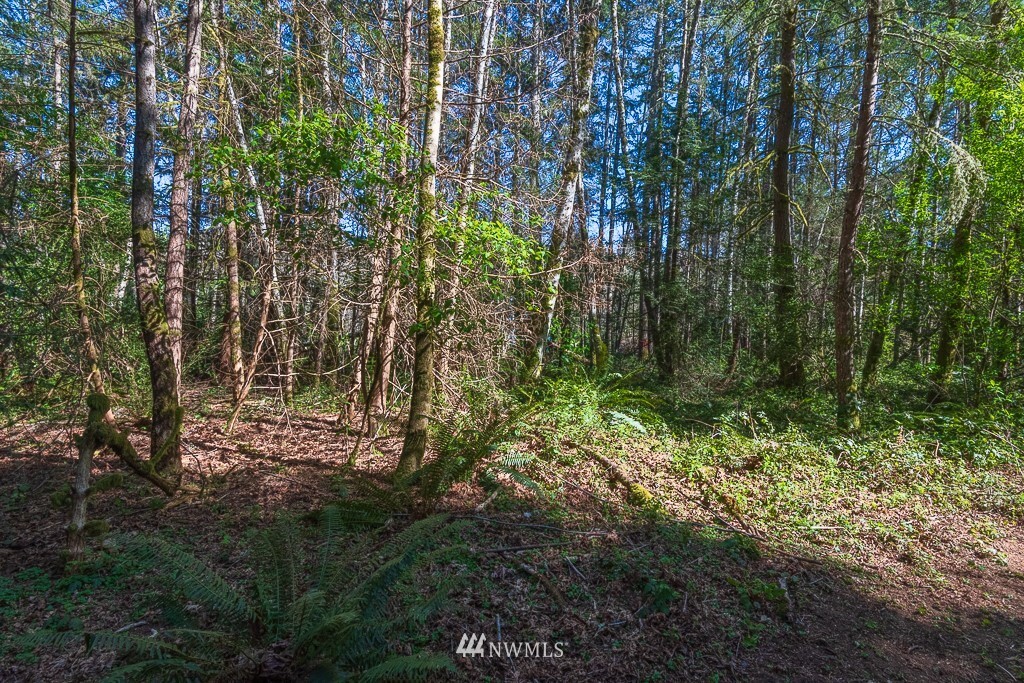 11305 Miller Road NE  Bainbridge Island WA 98110 photo