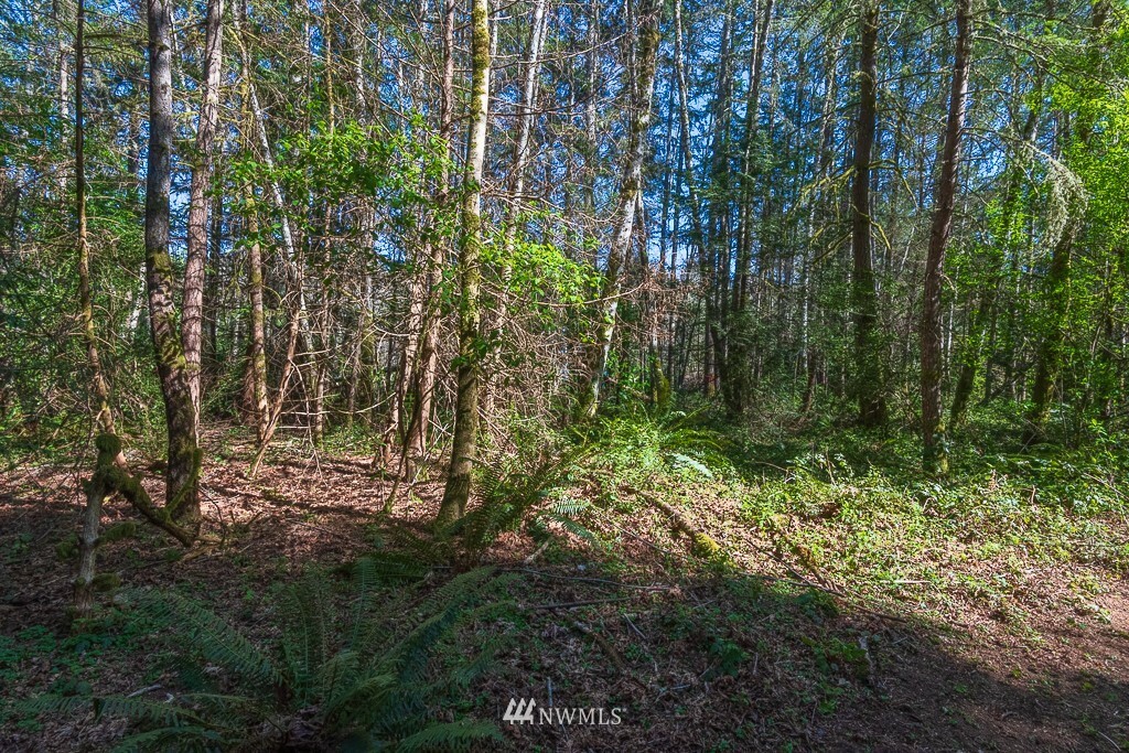 Property Photo:  11305 Miller Road NE  WA 98110 